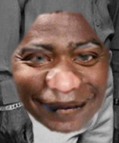 Recognised Faces