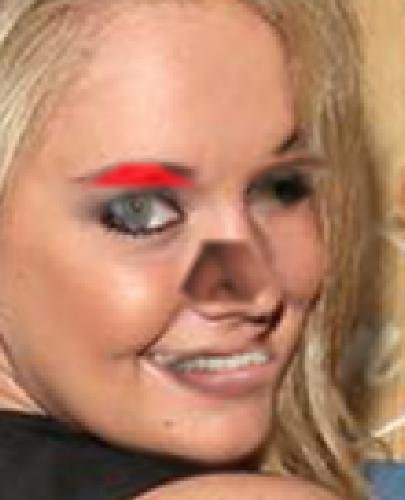 tumblr_oebwcnZSFE1uncgmto1_500.jpg