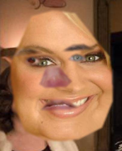 tumblr_oxmcclih5E1uncgmto1_500.jpg