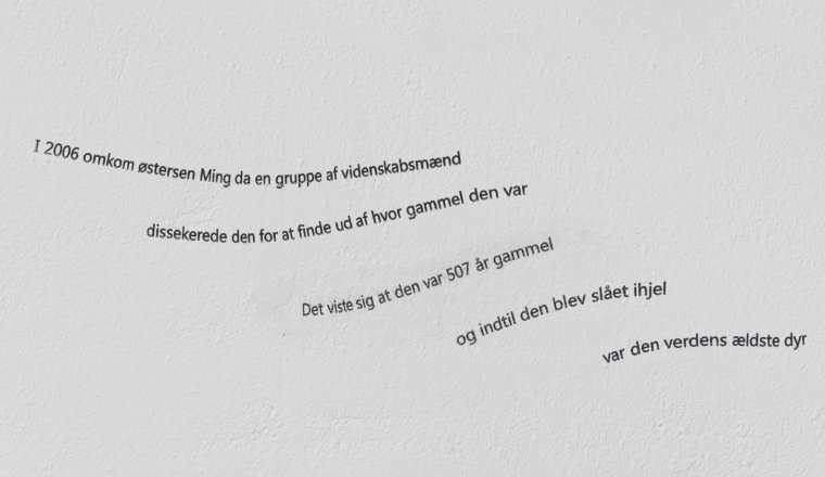 020.jpg