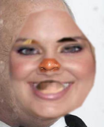 tumblr_p0g9skaUsE1uncgmto1_500.jpg