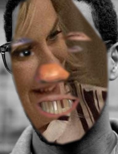 Recognised Faces