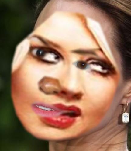 Recognised Faces
