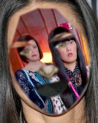 Recognised Faces
