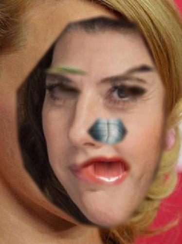 Recognised Faces