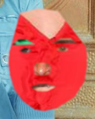 Recognised Faces