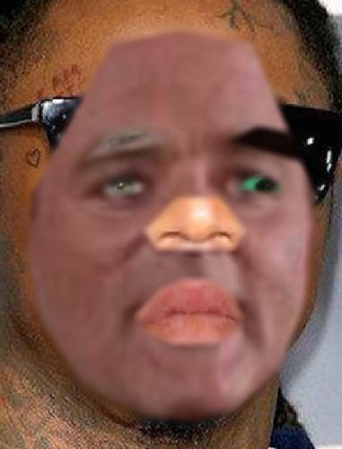 Recognised Faces
